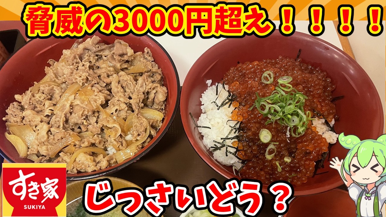 【すき家で豪遊】メガいくら丼＋メガ牛丼で5000円超え！？正直どうなの　#すき家　#メガサイズ#　いくら丼#　牛丼　#デカ盛り