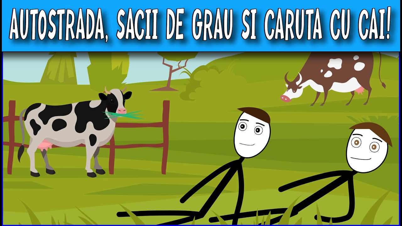 AVENTURI CU DUBA: AUTOSTRADA, SACII DE GRAU SI CARUTA CU CAI!