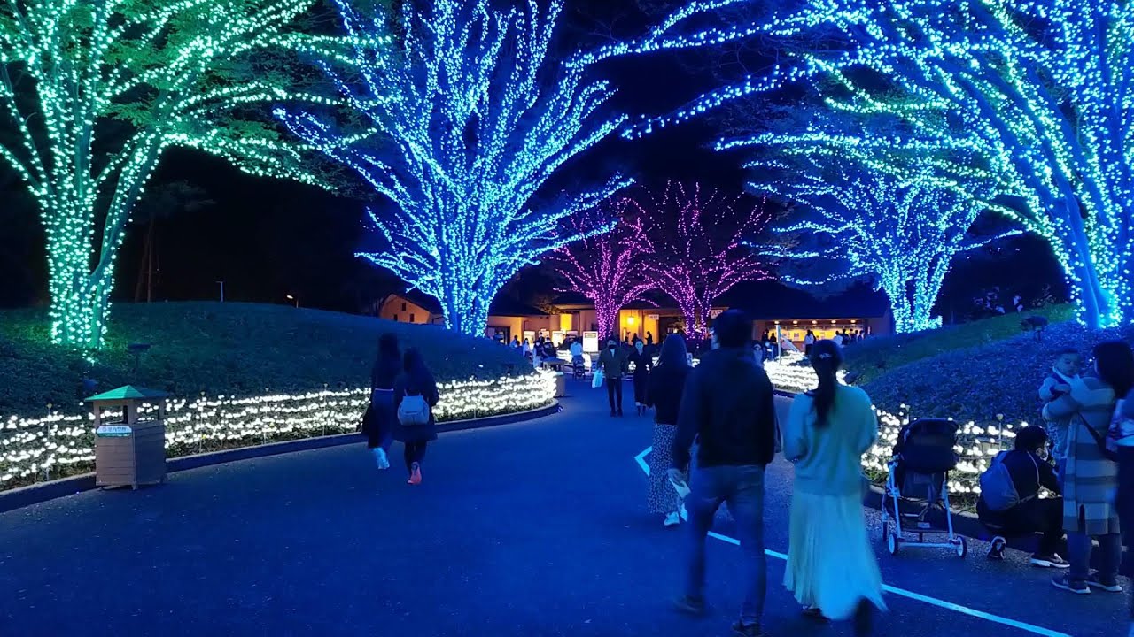 Nabana No Sato - Top places to visit in Japan - Japan Travel - JV GO