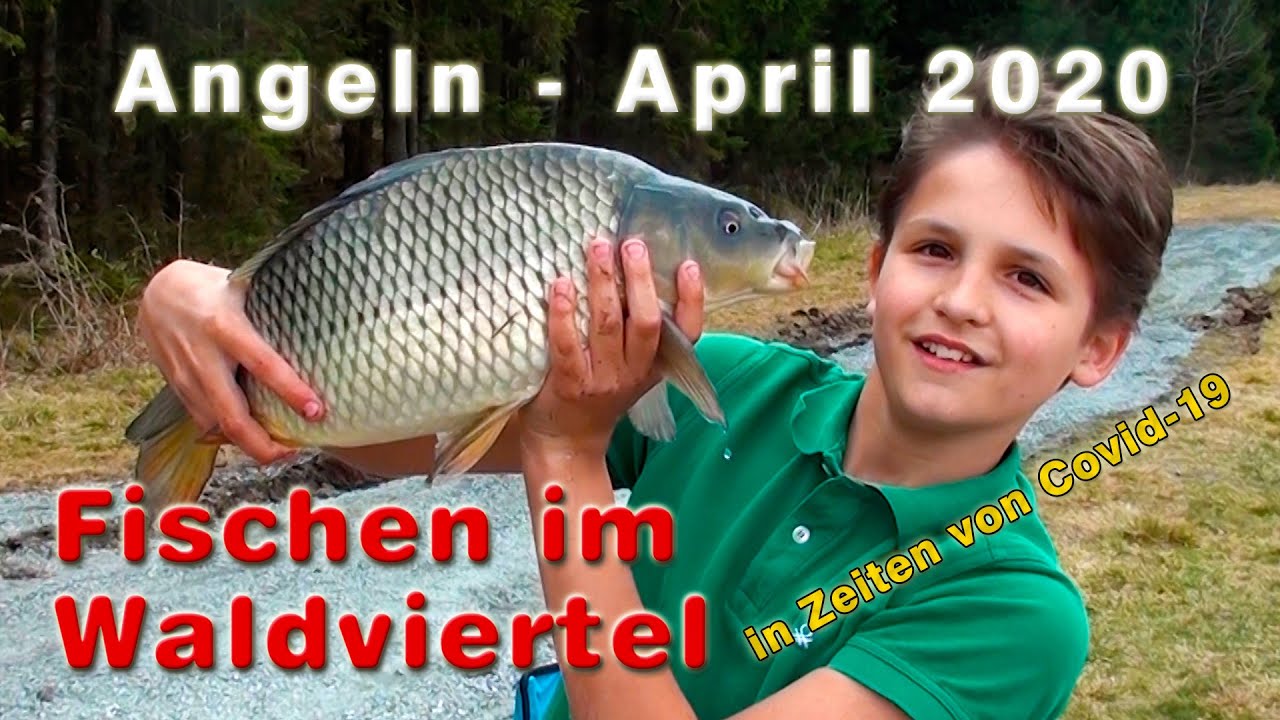 Angeln im April 2020 | Fischen im Waldviertel in Zeiten von Covid-19