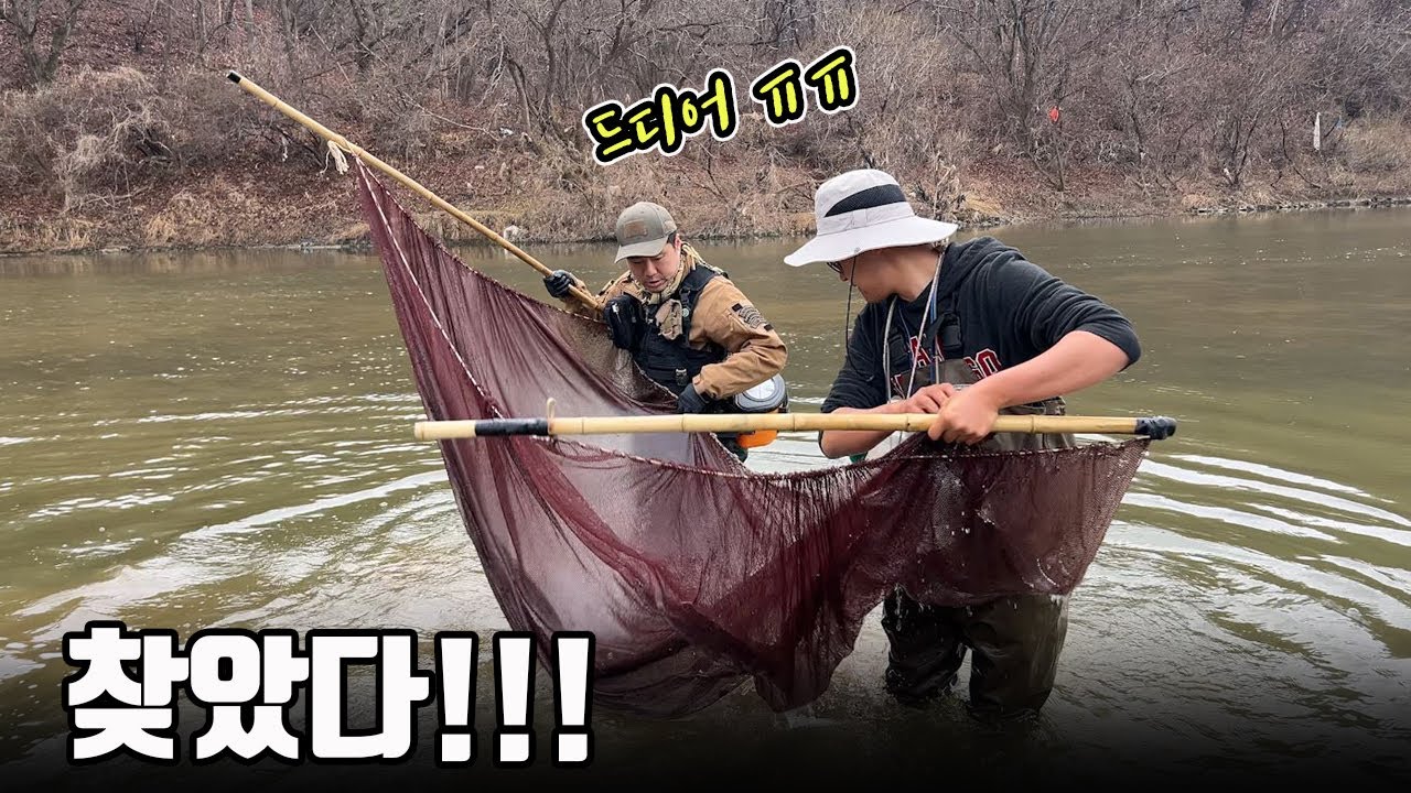 전세계에 오직 한국에만 있는 초희귀물고기발견!! 해외 학자들까지 다 모였습니다