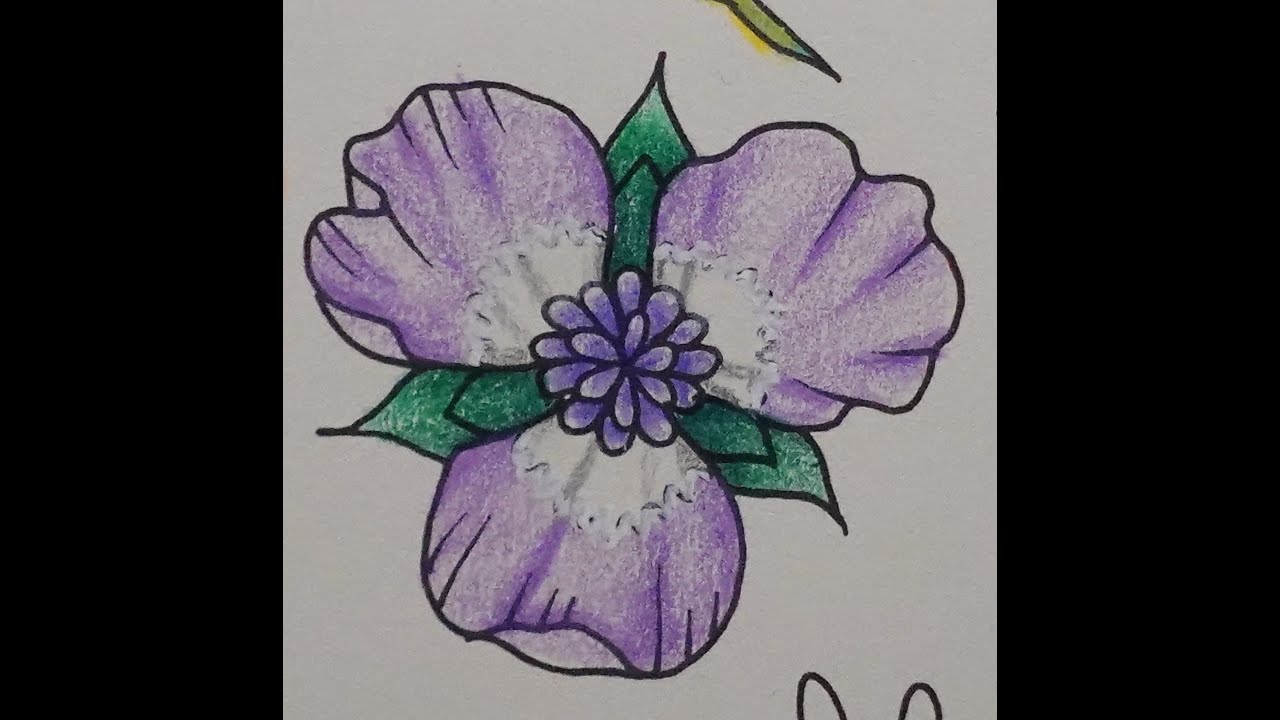 Adult Colouring Tutorial Light Purple Flower - from Ivy and the Inky Butterfly by Johanna Basford