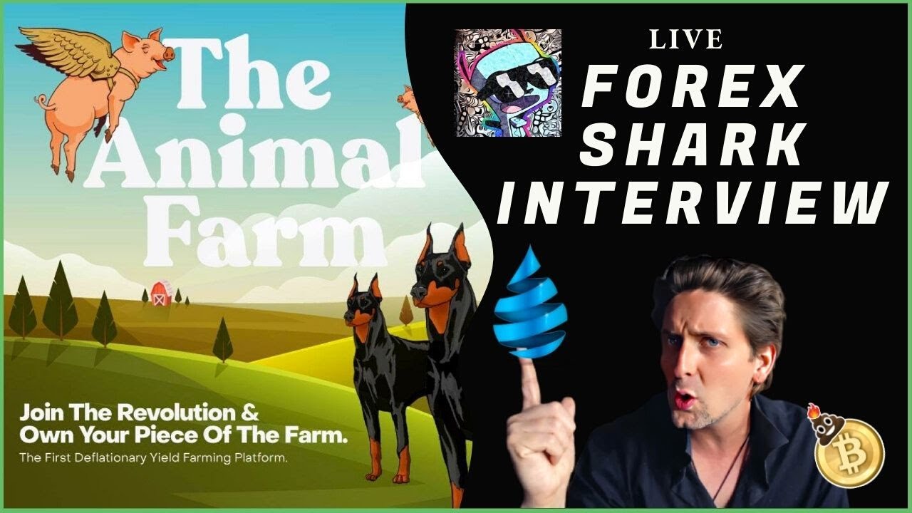 Forex Shark Interview : Animal Farm Rebirth, Drip Network Roadmap, Reservoir, DRIP Garden and More!