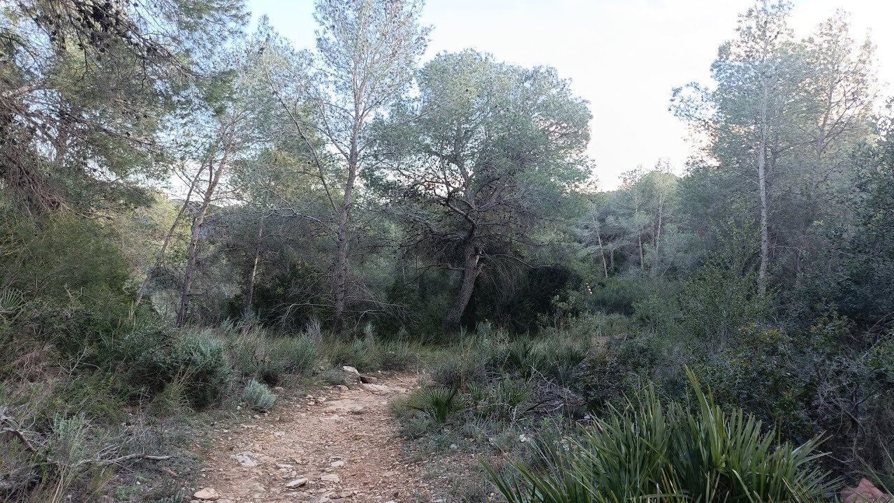 Bajamos por el sendero del Pic al Aljibe 