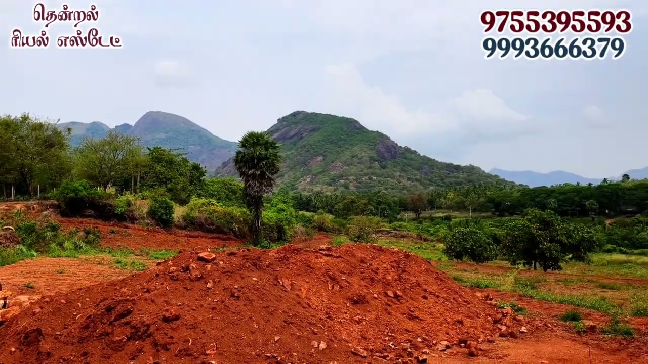 #தென்காசி |#செங்கோட்டை குண்டாறு டேம் அருகில் சென்ட் 85 ஆயிரத்தில் 25 சென்ட் இடம் விற்பனைக்கு 🐄🐏🌴🌴🌳🌳