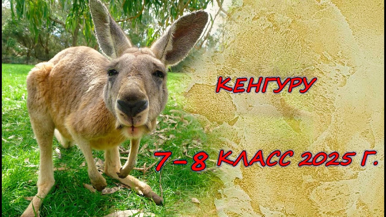 Олимпиада 