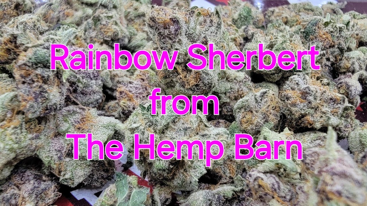 Rainbow Sherbert from The Hemp Barn - THCa Flower Review