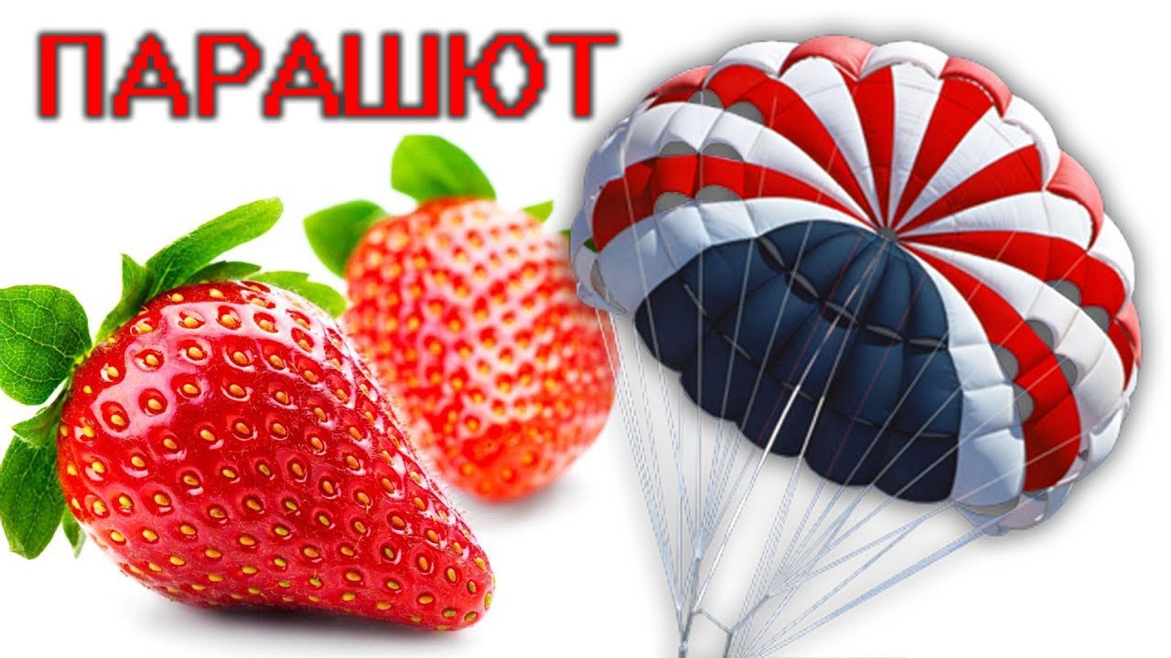 БОРЬБА С МЕДВЕДКОЙ на БОЛЬШОЙ ПЛОЩАДИ.