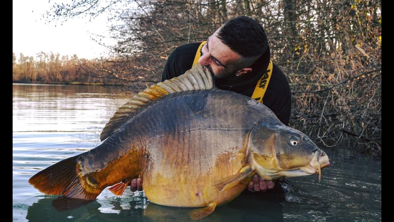 Gravière Carp Avenir présentation du règlement 🎣