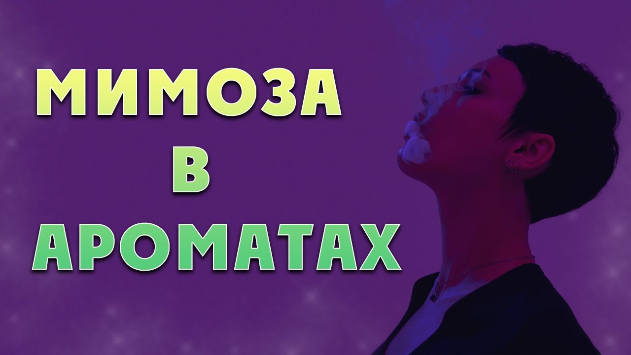 Мимоза в ароматах.