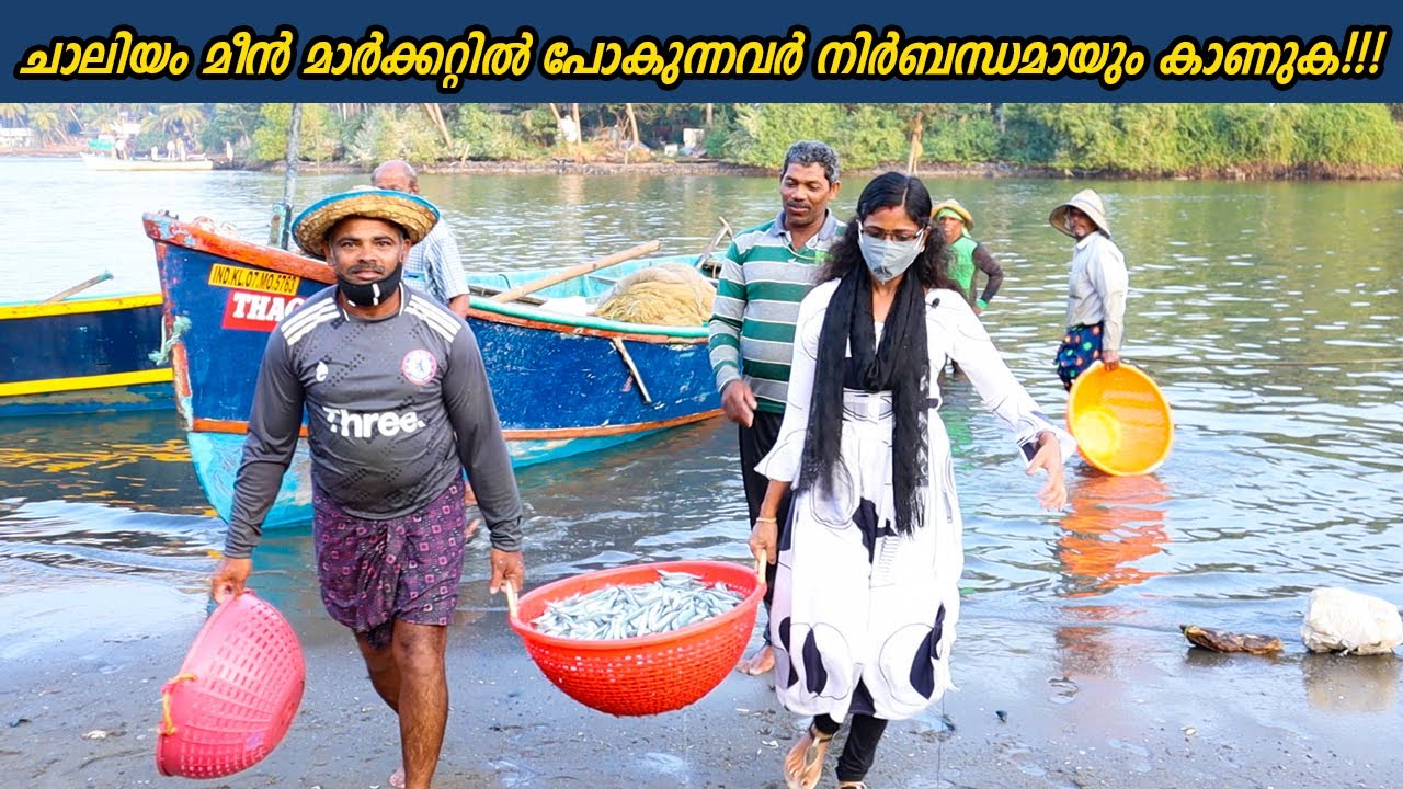 കോഴിക്കോട് ചാലിയം മീൻ മാർക്കറ്റിന്റെ ഇപ്പോഴത്തെ അവസ്ഥ | Chaliyam Harbour Live | Cheerulli Media