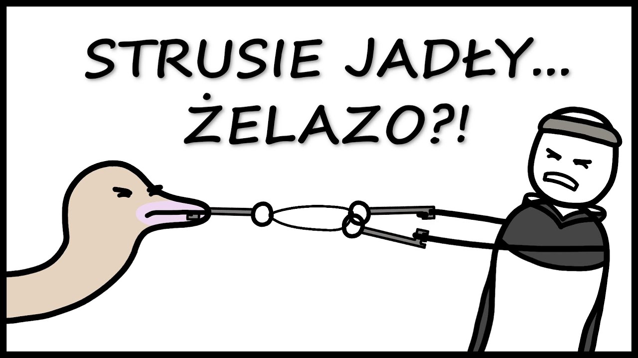 Dlaczego w średniowieczu karmiono strusie żelazem?