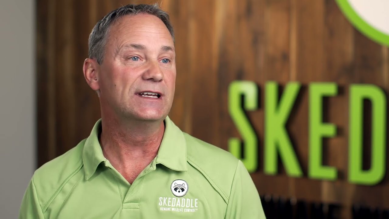 Industry Overview - Skedaddle Humane Wildlife Control