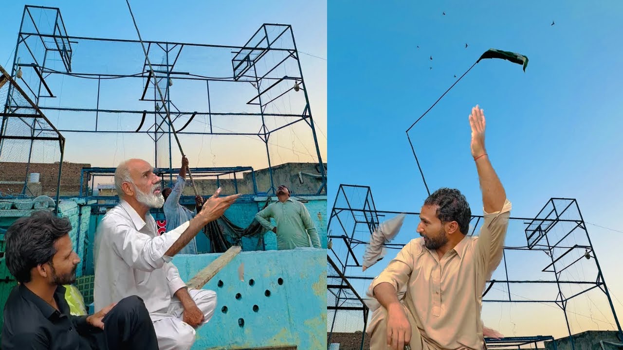 7 kabootar wali bazi 1 to 1 mukably 😱 jaith 2024 | Dar pigeons club |