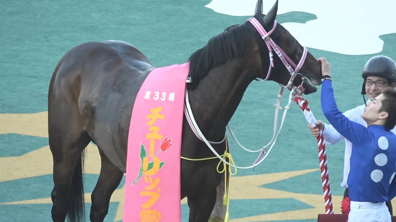 【口取り 表彰式】2026 G2 チューリップ賞  タイセイボーグ 西村 淳也【阪神競馬場】