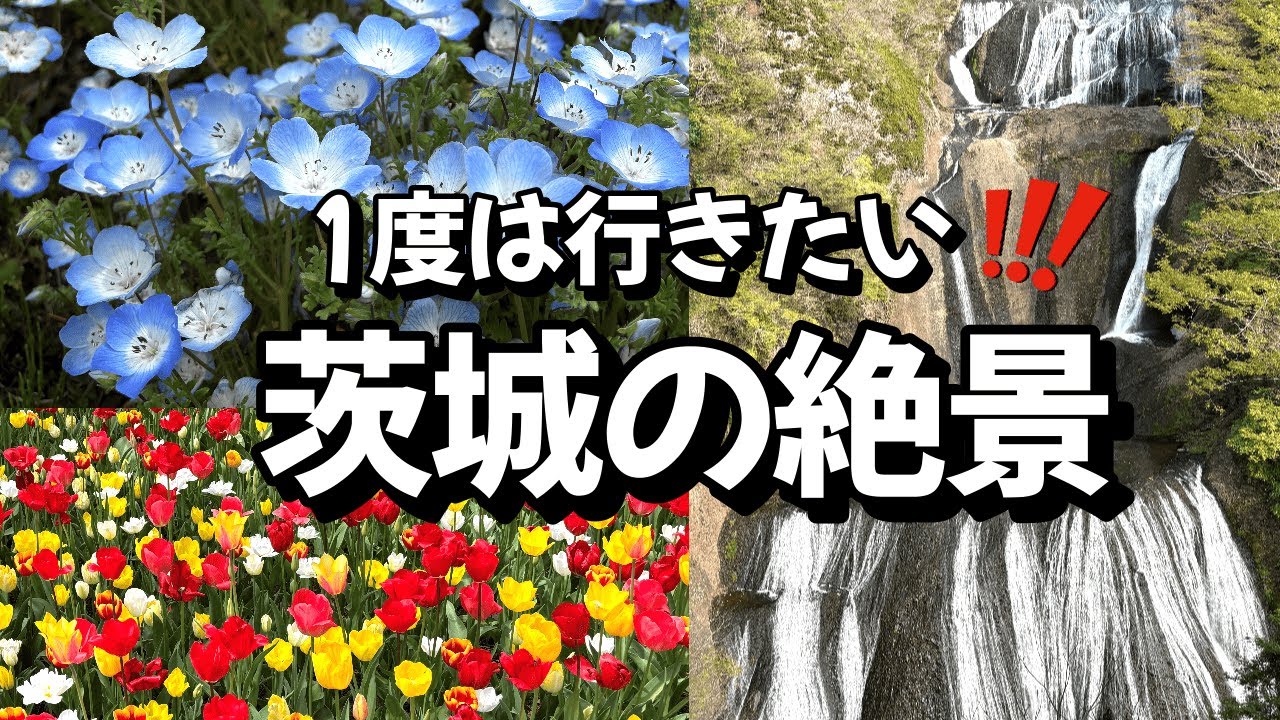 【車中泊】一度は行きたい茨城の絶景と美観！ポンコツシニア旅