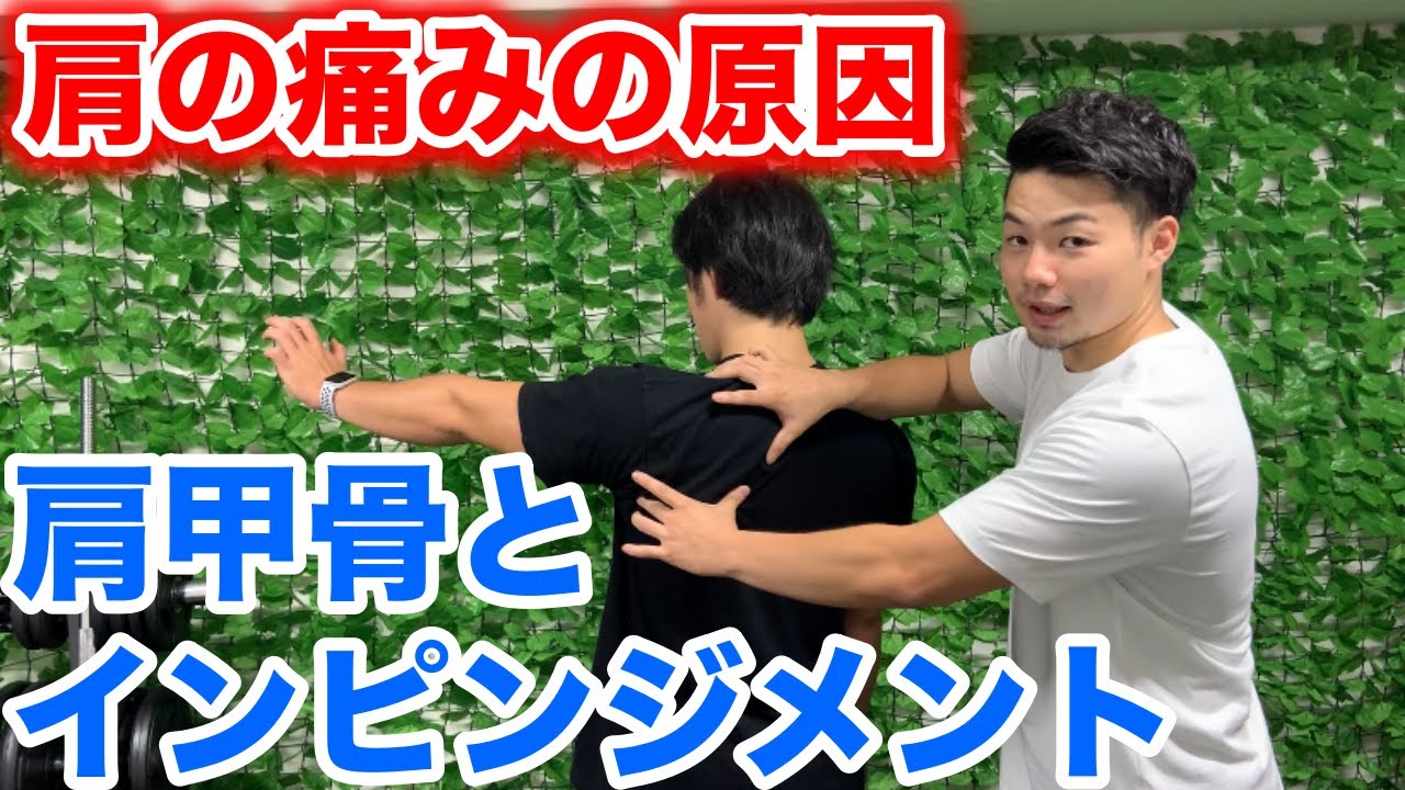 【肩インピンジメント】インナーマッスルを鍛えるだけでは治らない理由【肩甲骨】