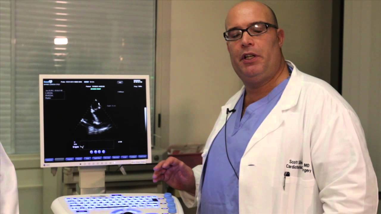 Proactive Management of the RV - ImaCor hTEE Patient Educational Series