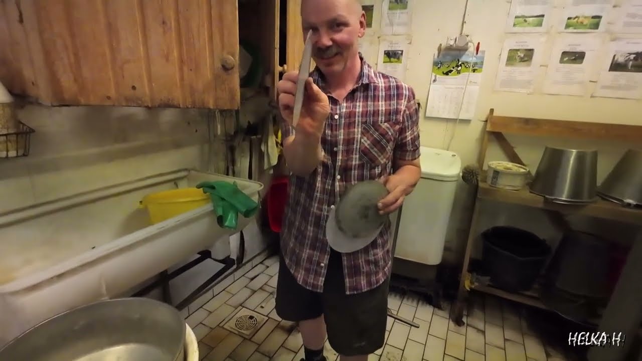 Helgaa ja Beigettä lukuunottamatta navetta on tyhjä eläimistä.