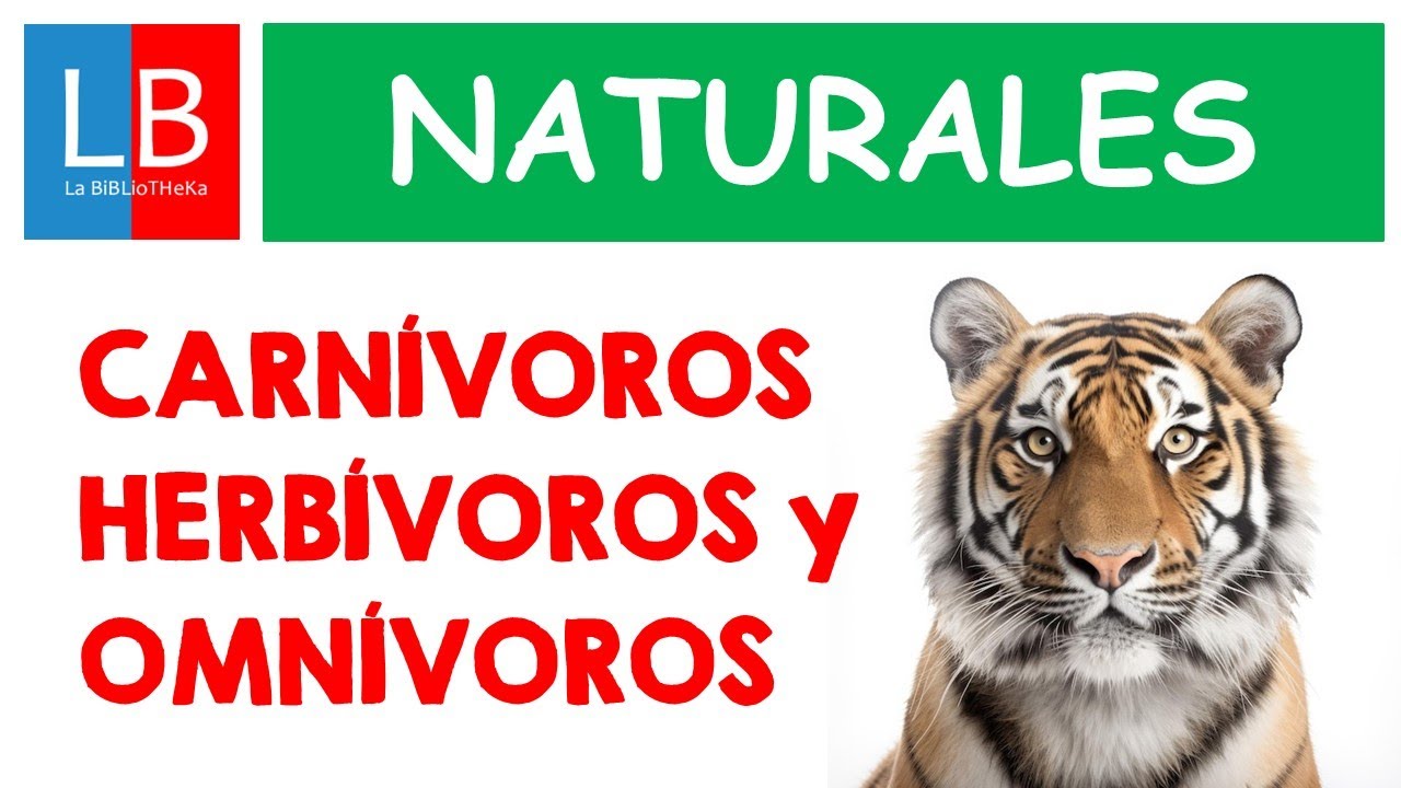 Animales CARNÍVOROS, HERBÍVOROS, OMNÍVOROS para niños ✔👩‍🏫 PRIMARIA