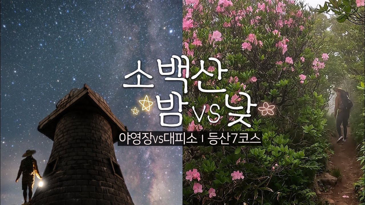 소백산 철쭉 산행코스 7곳 / 대피소와 야영장 소개 / 소백산 은하수 / 1박 등산코스