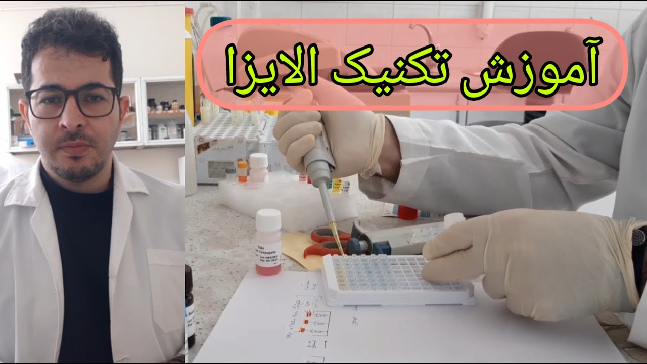 آموزش گام‌به‌گام تکنیک الایزا- تست TSH با روش Sandwich ELISA#هورمون_شناسی #آزمایشگاه #تشخیص طبی
