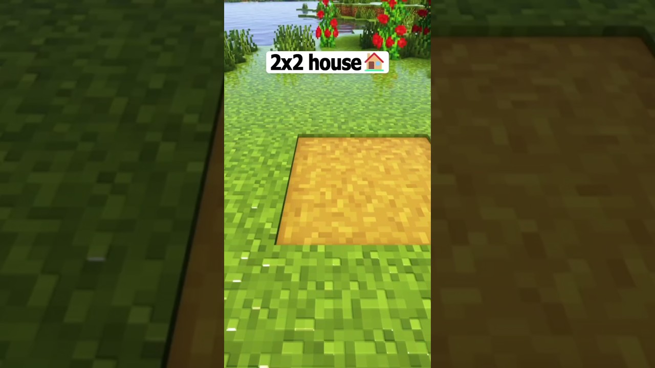 minecraft with 2x2 House 🏠 Wait for end 🤔
