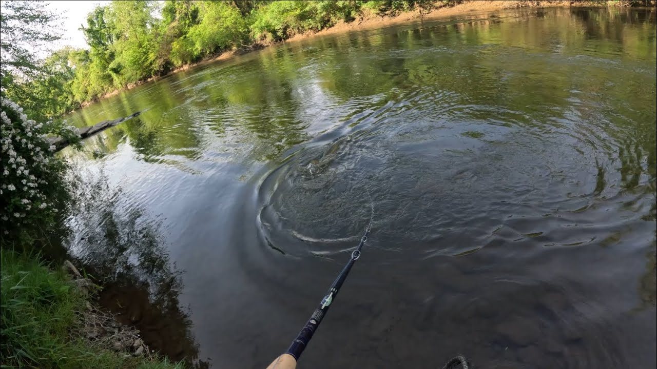 Muskie Fishing in Brevard North Carolina. Part One