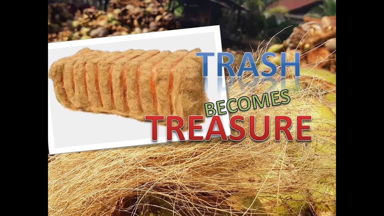 Coconut Fibers
