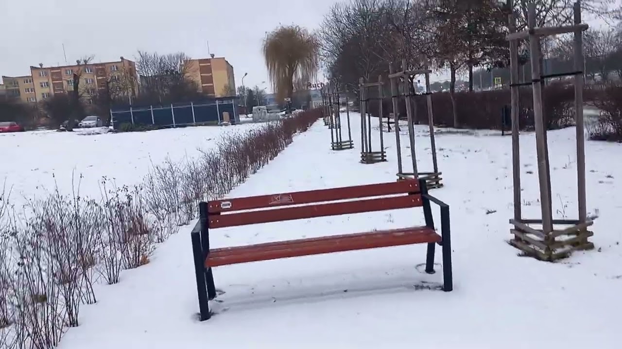 Свинья в  коллективе она и в Африке  Свинья. 