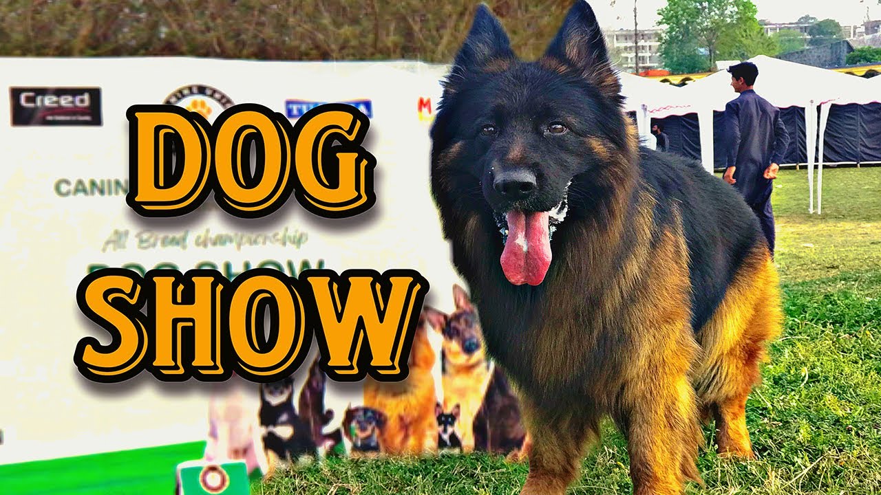 Biggest Dog Show in Islamabad || F9 Park | March | 2023