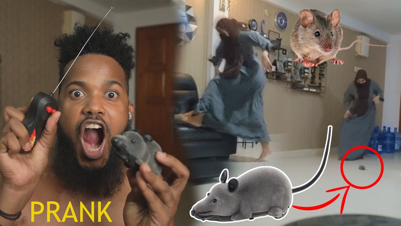FULEY | PRANK DOOLI REMOTE CONTROL WAY CARARTAY