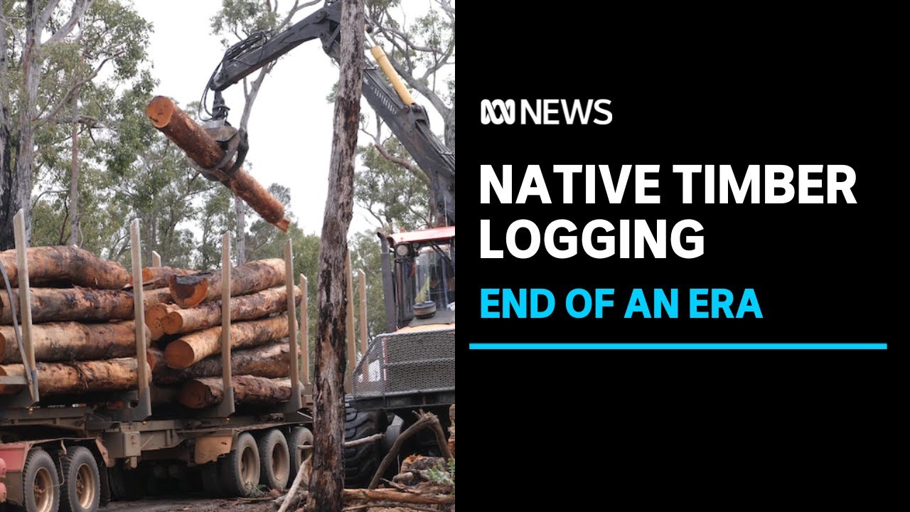 WA furniture makers say the end of native timber logging is a big blow for the industry ABC News