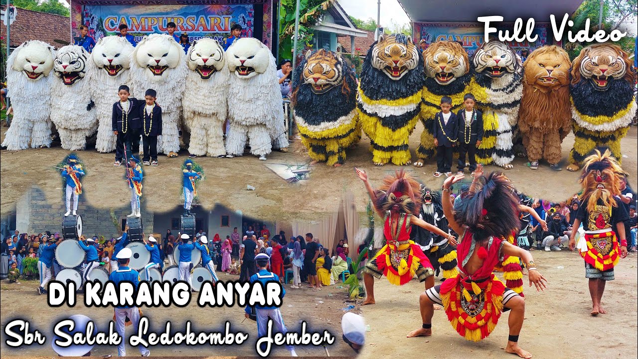 KIRAB CAN MACANAN DAN DRUMBAND SINGO MANGGALA DI KARANG ANYAR SBR SALAK LEDOKOMBO JEMBER FULL VIDEO