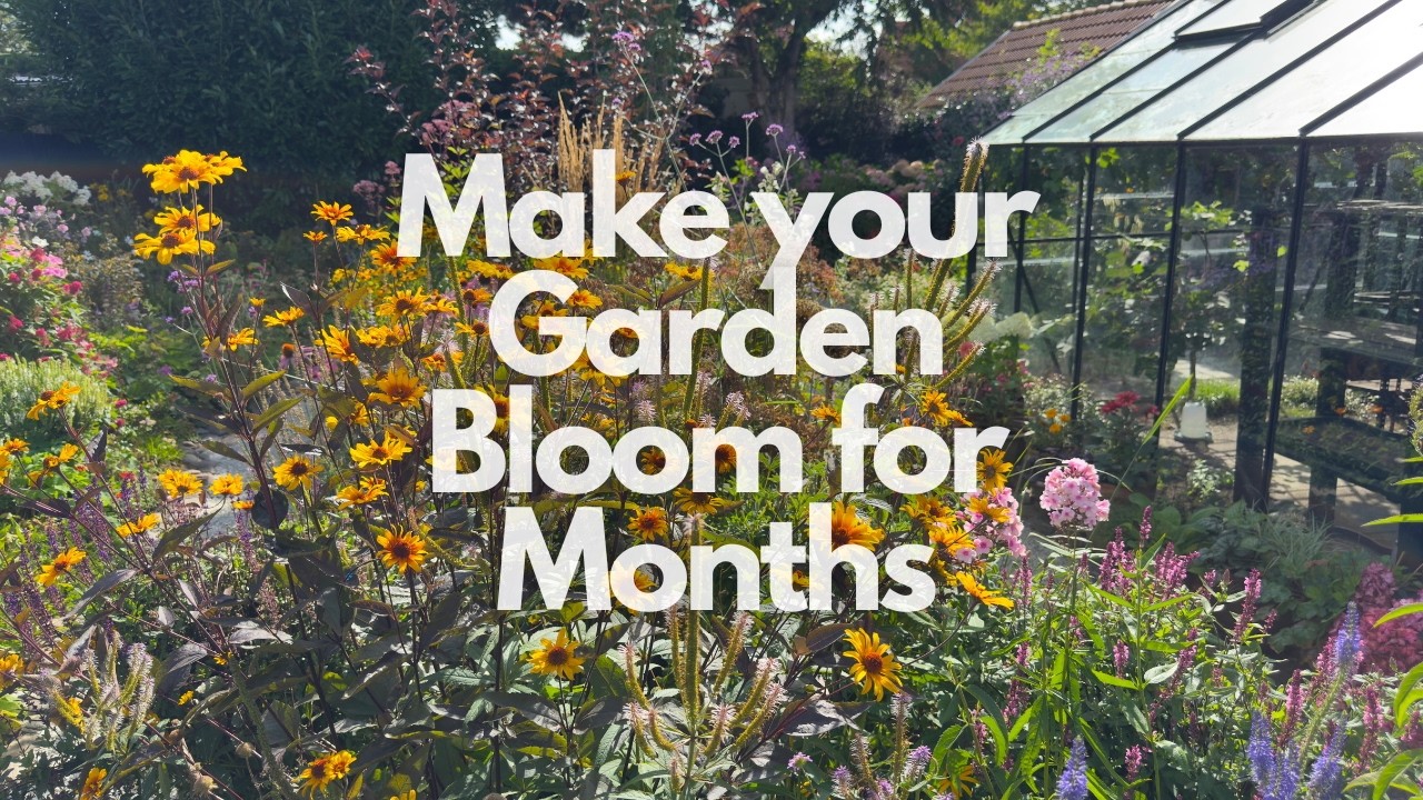 66 Perennials for Non-Stop Bloom | Plan a Garden That Flowers April&ndash;August