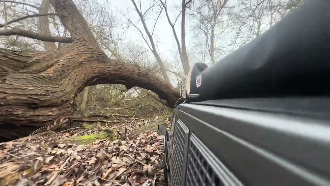 RGT EX86160 First forest trail                                            