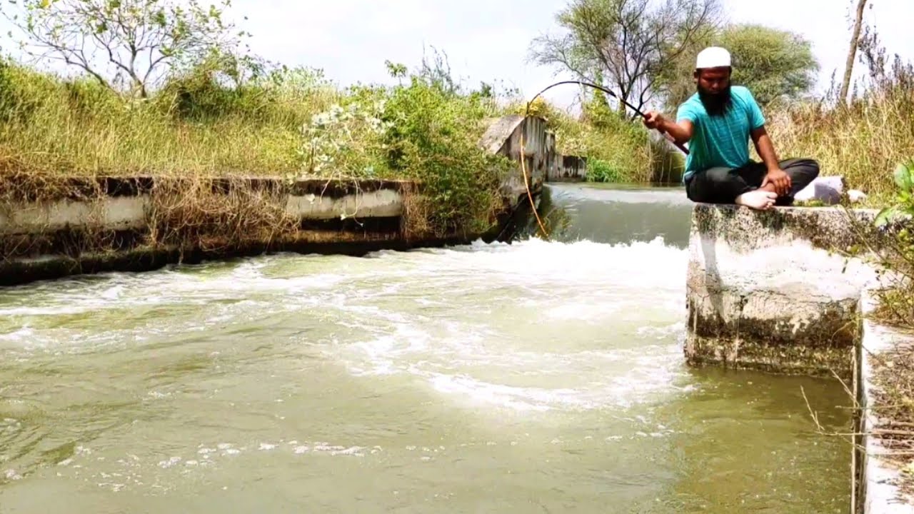 Fishing|Unbelievable Fishing Video|Fisher Man Catch With Baam Fishes and Cat Fish We Used Small Hook