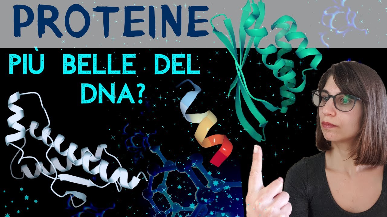 PROTEINE: le molecole bellissime che fanno TUTTO (più o meno)