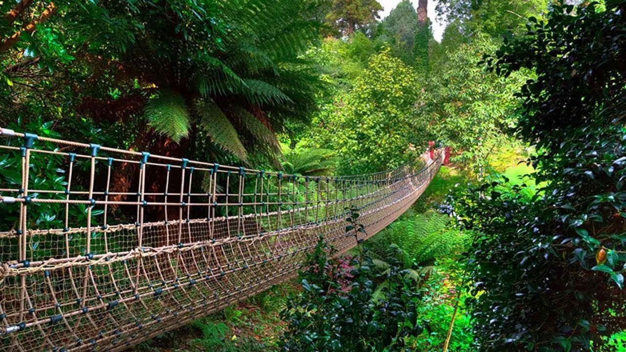 The Lost Gardens of Heligan | Forgotten For 75 Years!