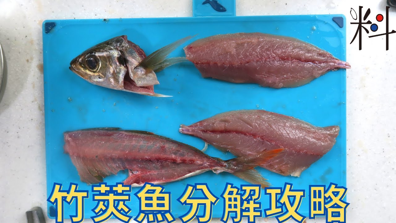 竹莢魚分解詳解 最適合初學者操作 深入淺出的魚類
