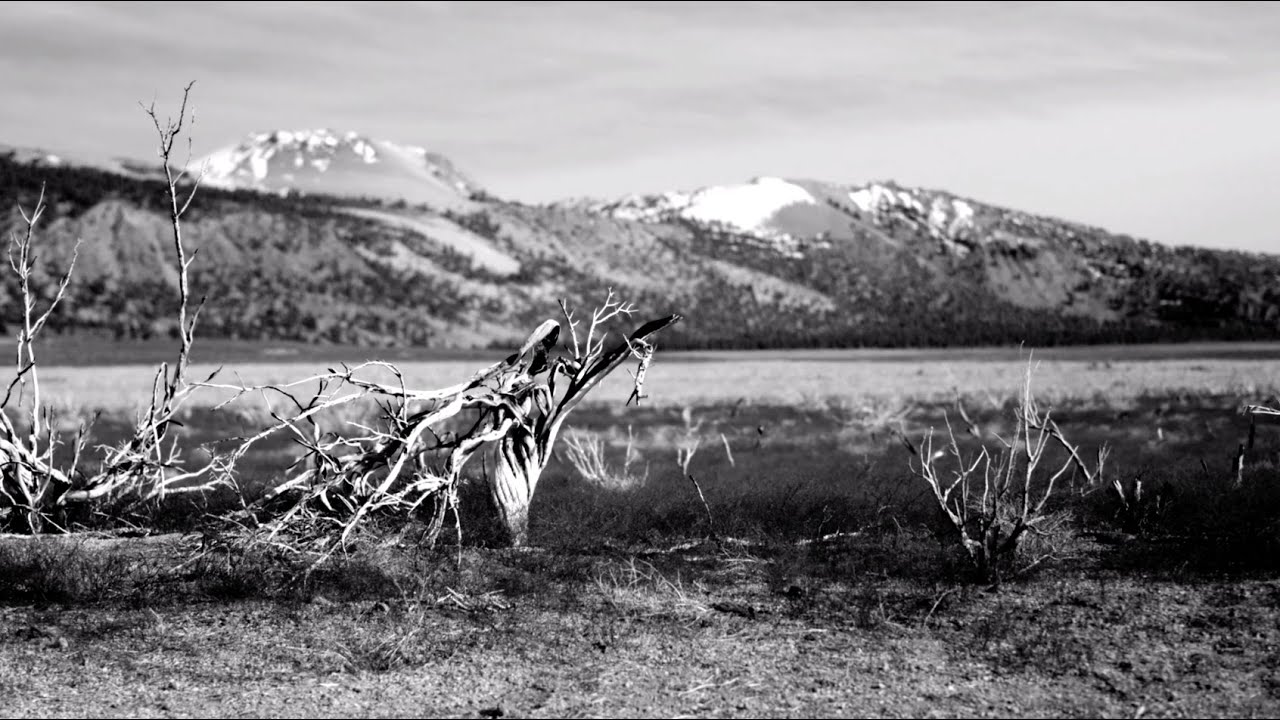 Will Cookson - Soon