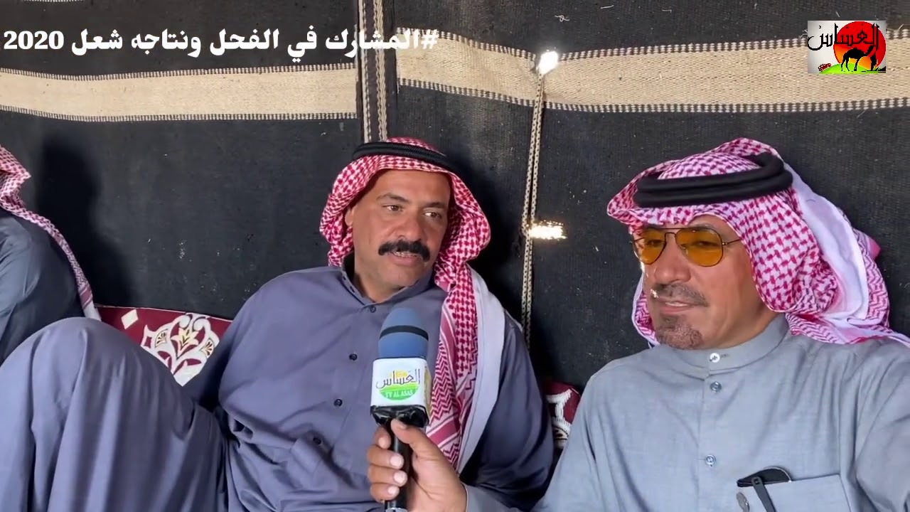 المشارك في الفحل وانتاجه شعل / حامد علي الميموني المطيري 1442/4/25