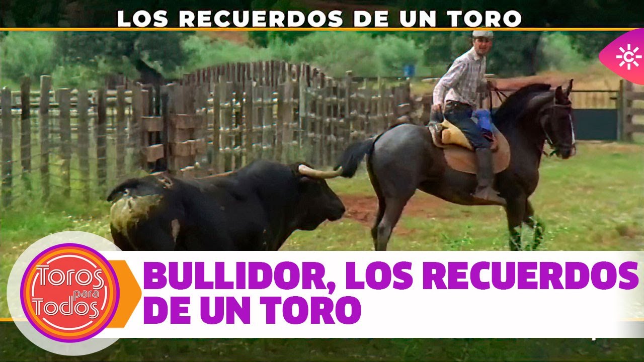 Toros para todos |Bullidor, los recuerdos de un toro