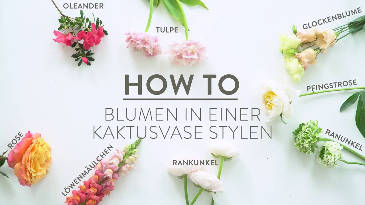 How to: Kaktus Vase dekorieren - 3 Looks | Westwing