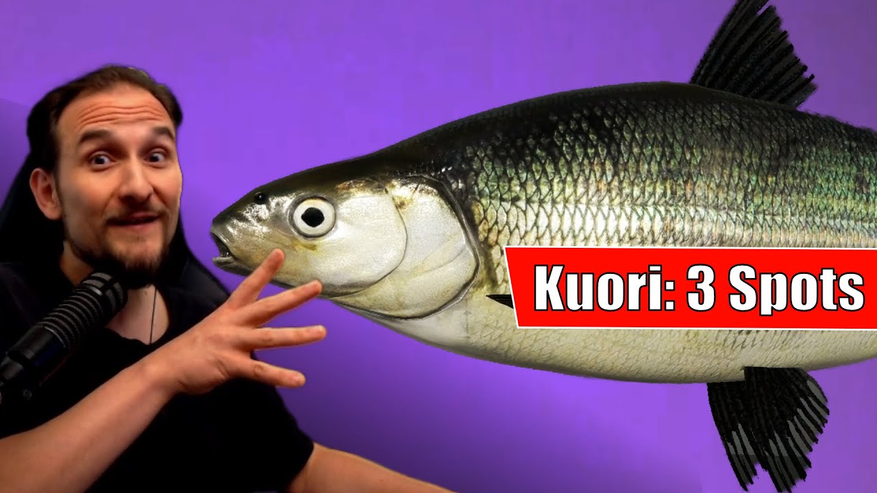 Russian Fishing 4 - Kuori - Kuori Felchen! Die 3 besten Spots auf Pose