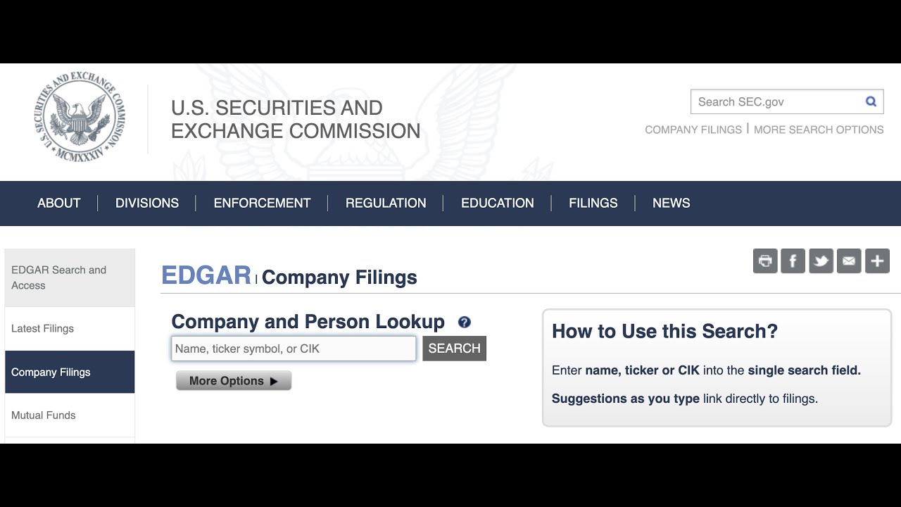 Fundamental Factors and SEC Forms 10-K/10-Q
