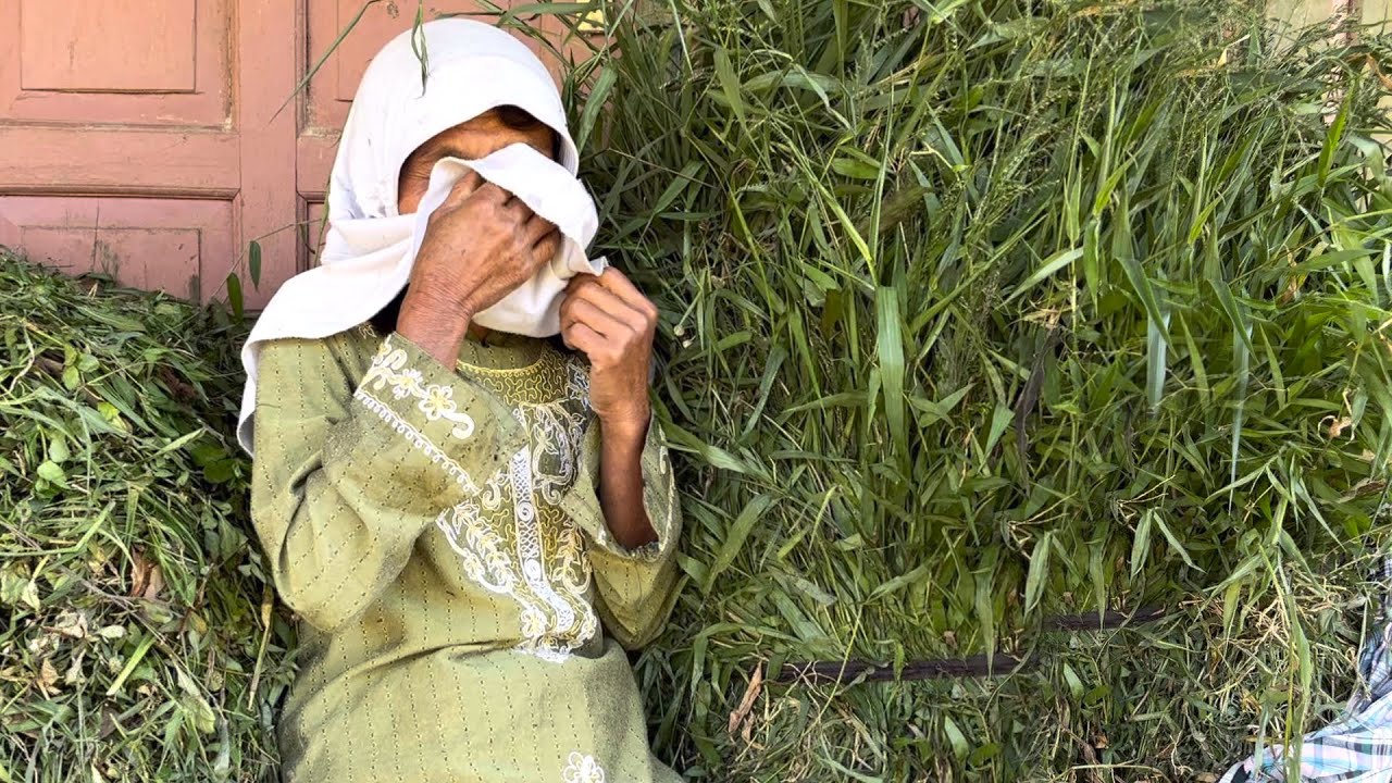 WANITA TANGGUH HIDUP DI HUTAN MENANGIS SAAT DI AJAK BEROBAT YANG ALAMI KEBUTAAN SEJAK MASIH KECIL