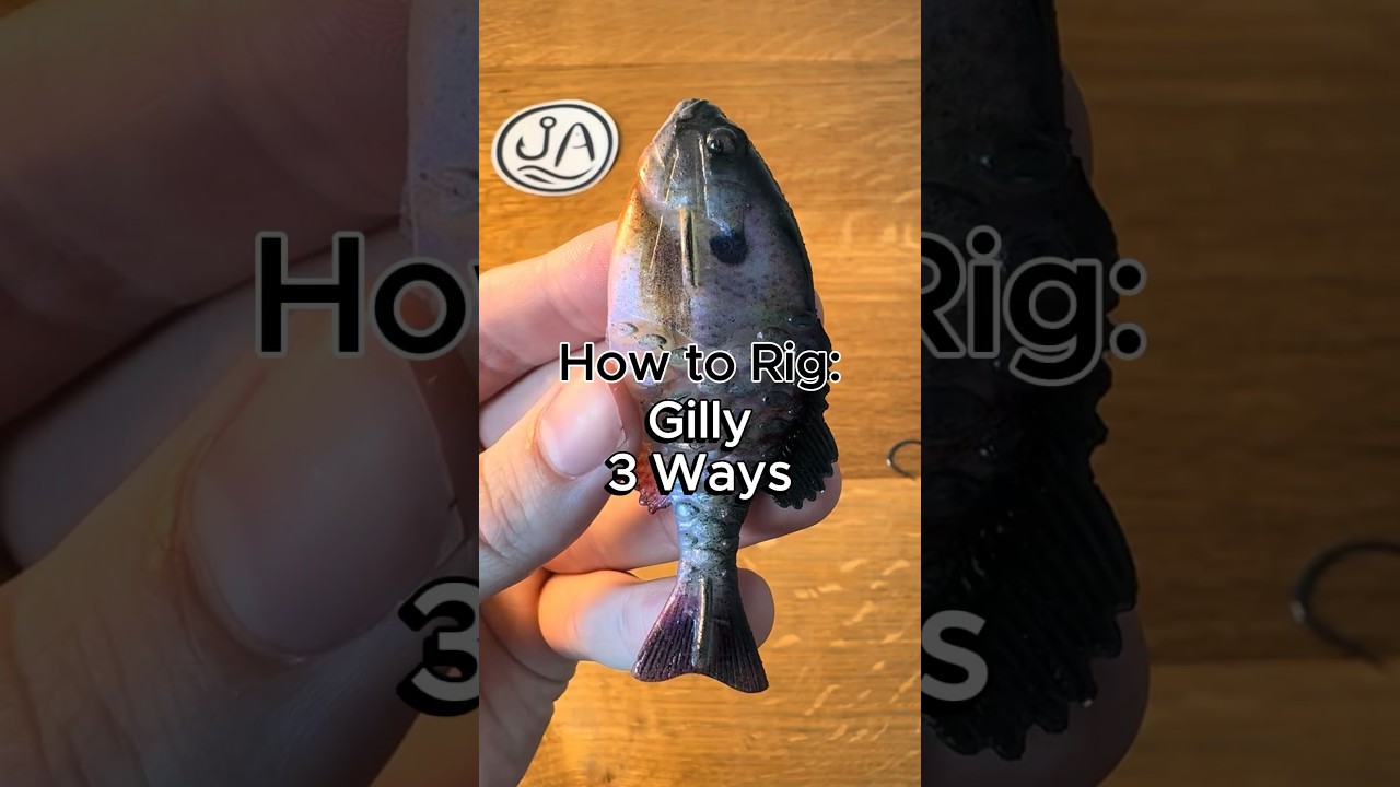 Как оснастить мягкую пластиковую приманку Gilly #рыбалка #ловлябаса #советыпорыбалке #как #больше...