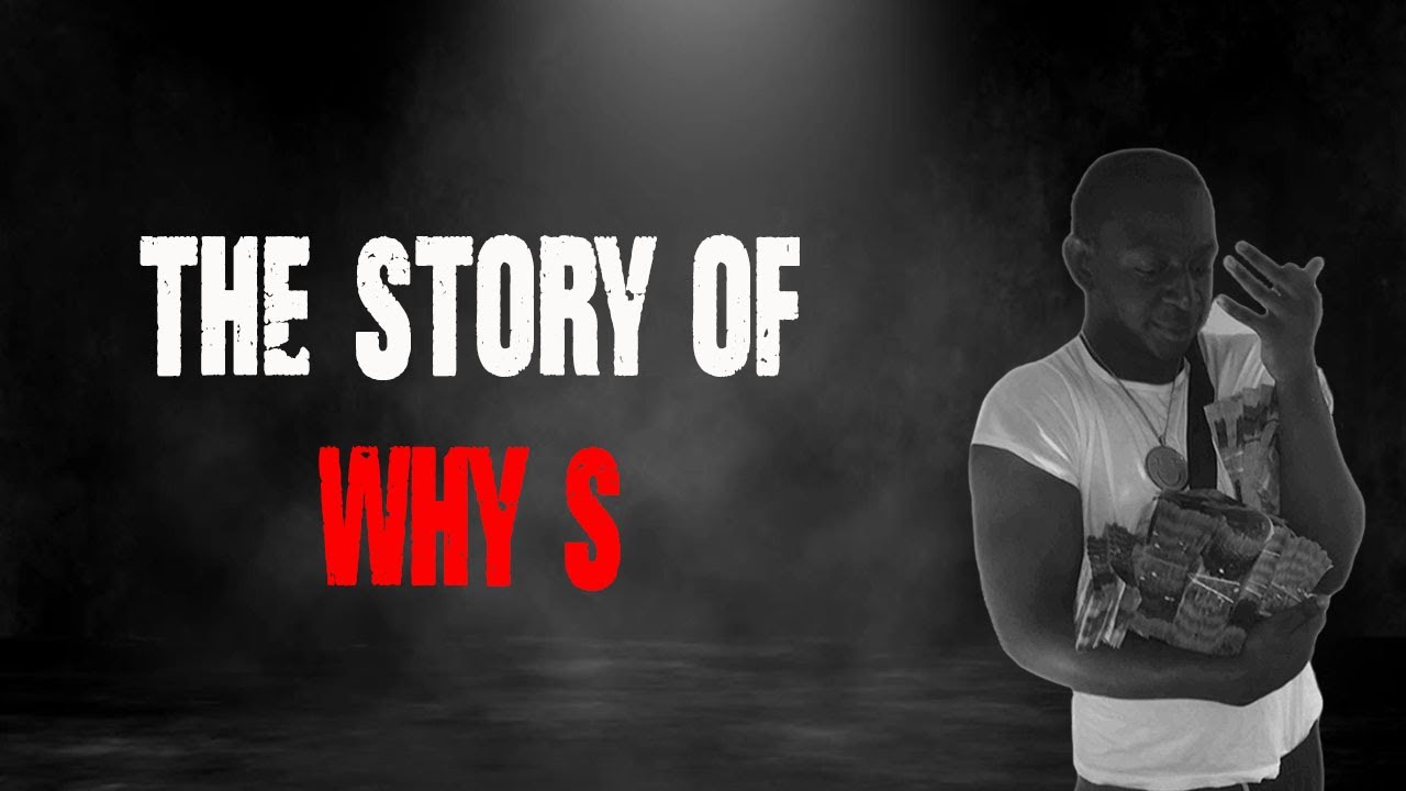 The Story of Why S (Why-S)