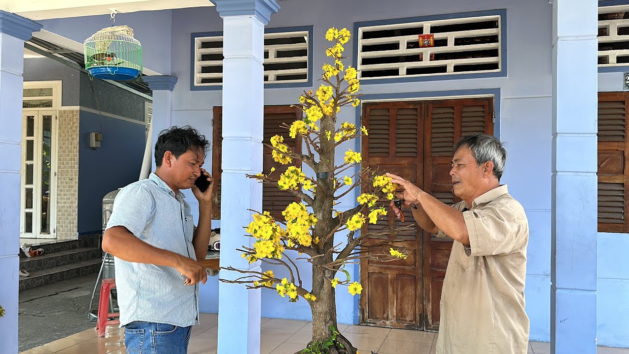 BA VỢ KHƯƠNG DỪA ĐÒI ĐEM MAI CHO HMTQG DƯỠNG